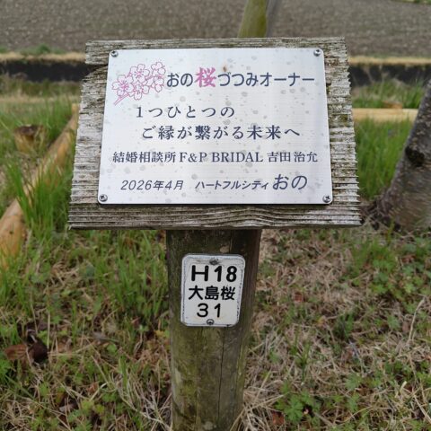 【兵庫県小野市】桜オーナーに当選｜F&P BRIDALが大切にする“ご縁が繋がる未来”